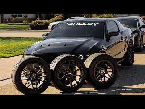 DRAGY VS MICKYTHOMPSON TIres // STREET COMP // ET STREET S/S // ET STREET R // Shelby GT500