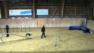 preview picture of video '9.11.2014 Agility Birmensdorf Taelyn, L3'