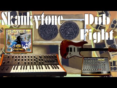 Skankytone - Dub Fight - Stop Fighting Single
