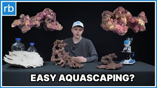 Ecoscape Reef Rock: Stress-Free Aquascaping For Beginners!