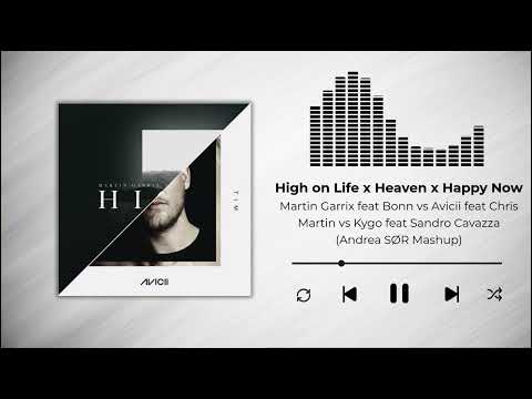 High on Life x Heaven x Happy Now - Martin Garrix vs Avicii vs Kygo (Andrea SØR Mashup)