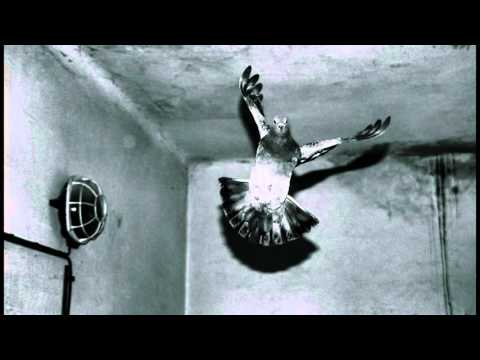 Led Zeppelin vs Spirit - Stairway to Heaven - Comparison