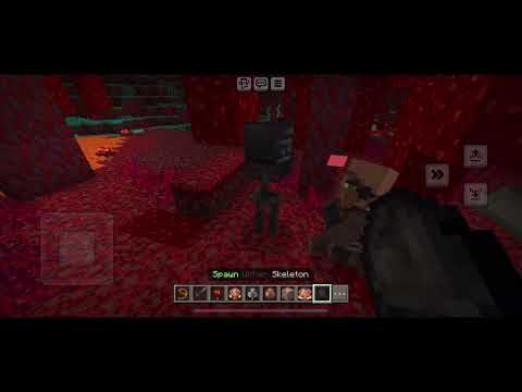 Piglin brute vs Evoker ￼￼jockey edition￼