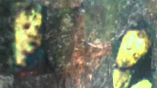 Arise, Watch - Home Made