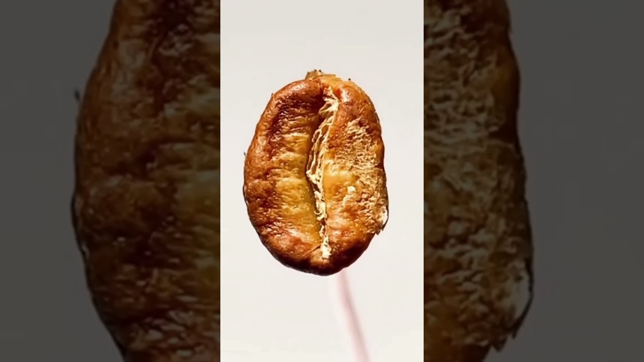 Coffee beans roasting process, change shape and color of coffee beans while roasting,roasting coffee