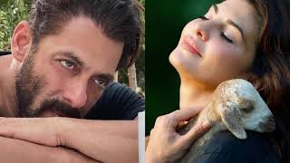 जब सलमान के सामने हाथ जोड़ने लगी थी जैकलीन , Bollywood Masala video