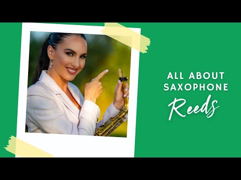 All About Saxophone Reeds @Felicitysaxophonist #tutorial #saxophone #reeds