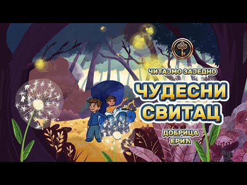 ČUDESNI SVITAC Dobrica Erić ✨