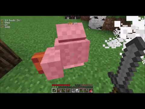 All Stars UHC S5 - Episode 1