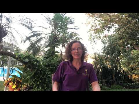 More on chunking!  (German in 25 Weeks)