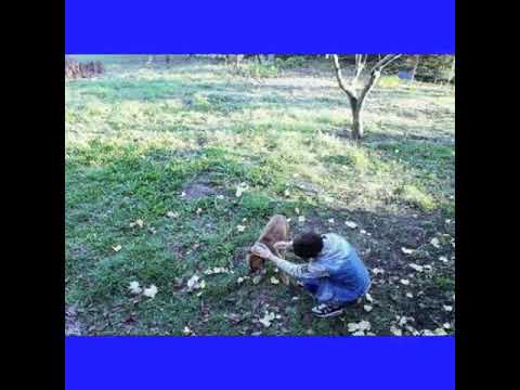 💖 BURAK FIRAT 💖