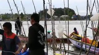 Download lagu semi pinal kelas anderbonre || balap ketinting kota bangun sebrang mp3 Download lagu semi pinal kelas anderbonre || balap ketinting kota bangun sebrang mp3