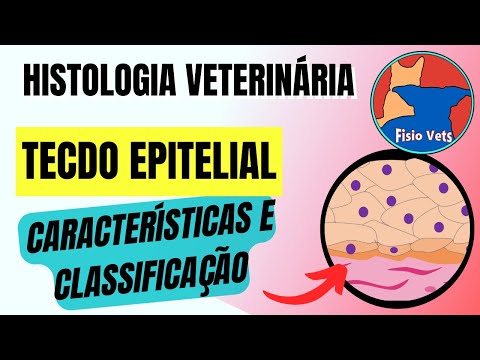 Tecido epitelial | Tipos de epitélio - Histologia veterinária