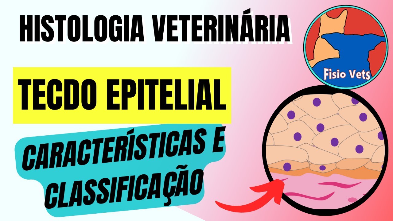 Tecido epitelial | Tipos de epitélio - Histologia veterinária