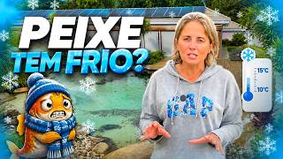 NOSSOS PEIXES VÃO CONSEGUIR VIVER NO FRIO CONGELANTE DO LAGO?