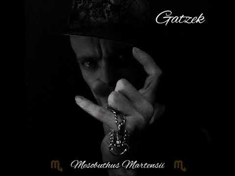 Gatzek - Skill Barber (prod. Gatzek)