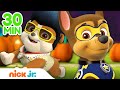 PAW Patrol Halloween Trick-or-Treat Rescues! 🎃 | 30 Minute Compilation | Nick Jr.