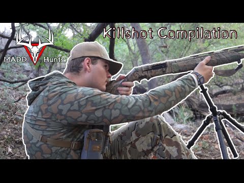 MADD Hunts Killshot Compilation MADD Hunts Killshot Compilation