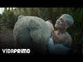 ELYSANIJ - Osito de Piedra [Explicit Version] [Official Video]