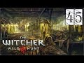 Прохождение The Witcher III: Мышиная башня #45 