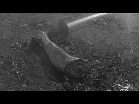 Yojimbo 1961 There's no cure for fools 4K Akira Kurosawa