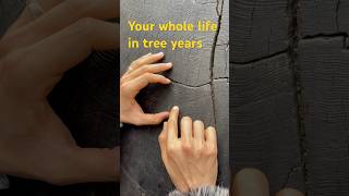 My whole life in tree years #perspective
