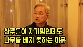 산주들이 자기 땅인데도 나무를 베지 못하는 이유...