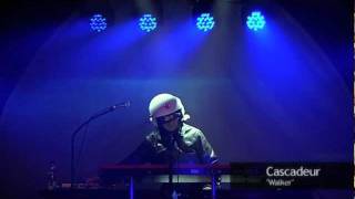 CULTURE POP - Cascadeur