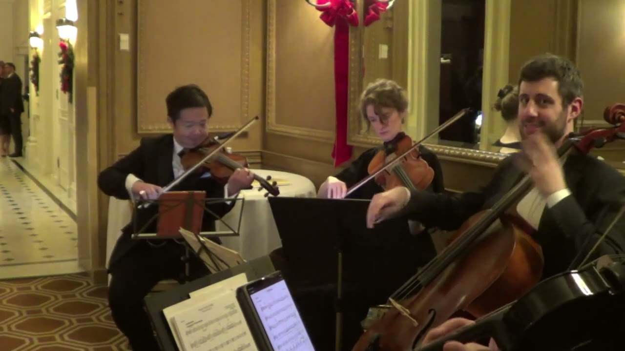 Promotional video thumbnail 18 for Xinou Wei Strings