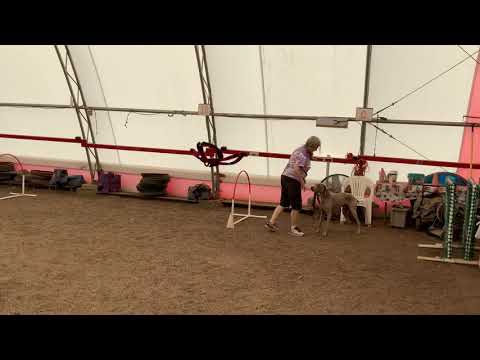 Rashi open hoopers 2 Claywins