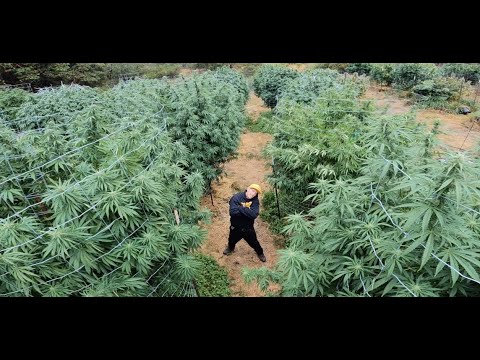 Mendo Dope - “WHY YOU TRIPPIN TRIPPIN” {OFFICIAL MUSIC VIDEO}