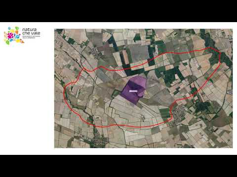 API 21 Ottobiano, Valeggio, Dorno, Scaldasole, Ferrera Erbognone