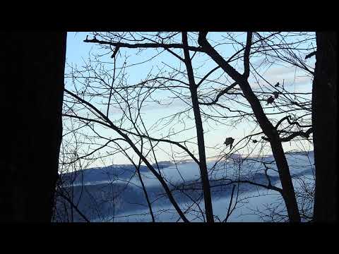 Dincolo de nori în Parcul Național Domogled - Valea Cernei din cadrul Romsilva