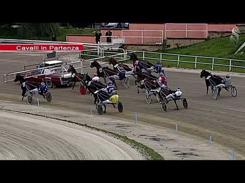 Aversa trotto 4 Marzo 2023 - 3° Corsa