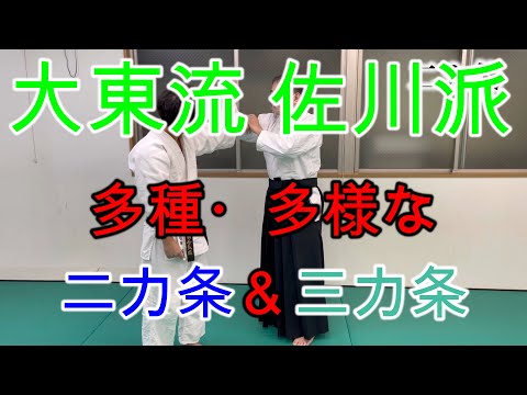 ＃2【合気道・達人に習うシリーズ】大東流合気柔術・佐川派の多種多様な二カ条＆三カ条【有満庄司先生】