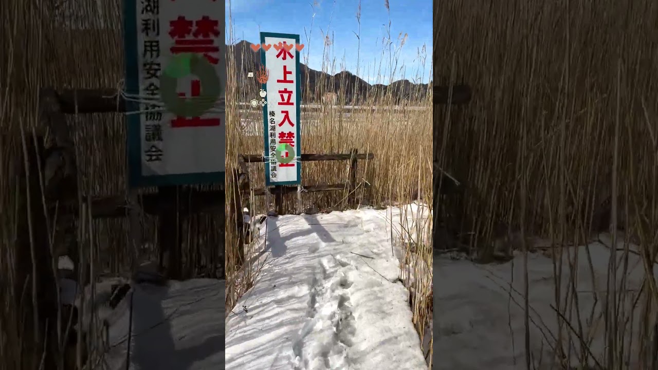 なんだ。来たことあったか【日本ハイラル】 #ゼルダの伝説 #totk #ティアキン #ゼルダの伝説ティアーズオブザキングダム #zelda  #switch2 #実写 #shorts