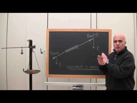 Movie of experiments