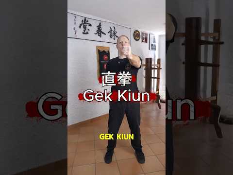 una tecnica del wing chun in 30 s jek kiun #sifuantoniobacino #wingchunkungfu #kungfu