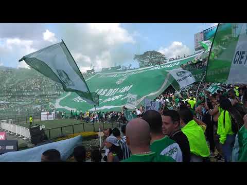 "Día del hincha verde 2019- Nacional vs Junior  - Recibimientos Los Del Sur" Barra: Los del Sur • Club: Atlético Nacional