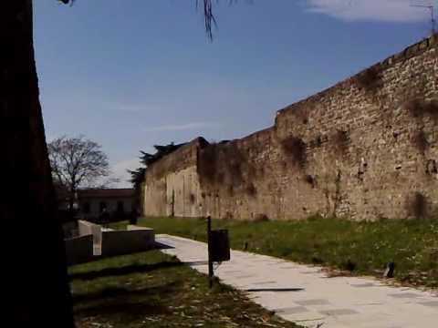 Rapina al barbone (dario,jamali,bindi)