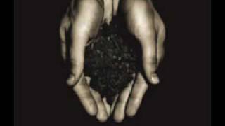 The Colour   Our children were the stars