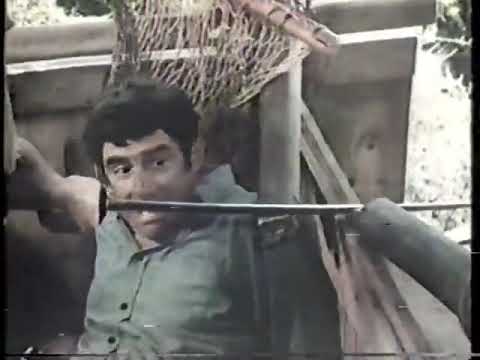 Last Flight Of Noah's Ark (1980) VHS TV Spot