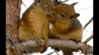 NU HON CUOI - mta.mp4