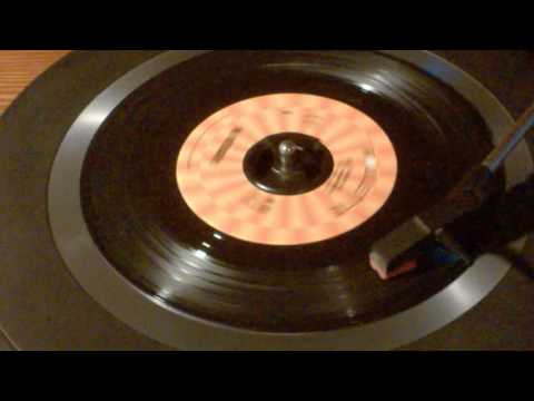 Leader of the Laundromat by The Detergents