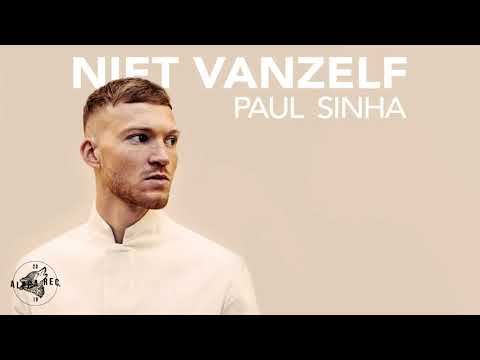 Paul Sinha - Niet Vanzelf