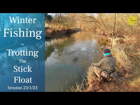 Winter Trotting - River Fishing - An Afternoon On The Stick Float - 23/1/23 (Video 374)