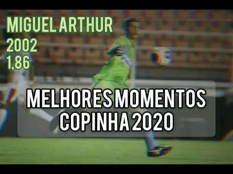 Defesas Miguel Arthur 