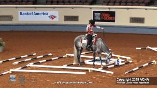 A Judge&#39;s Perspective: 2015 AQHYA Trail World Champion