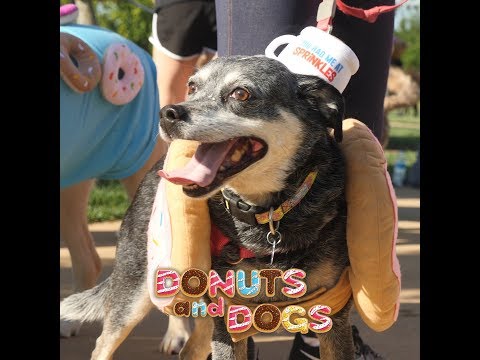 Animal Protective League - Customer Success Story