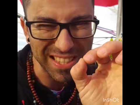 עצמאות 2019 קרקס &באלי דאלי